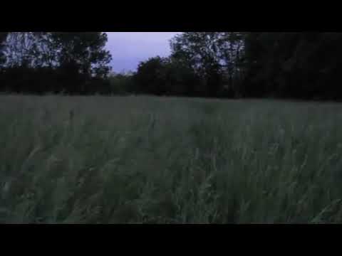 𝑙𝑖𝑚𝑒𝑟𝑒𝑛𝑐𝑒 𝑤𝑖𝑡ℎ 𝑟𝑎𝑖𝑛