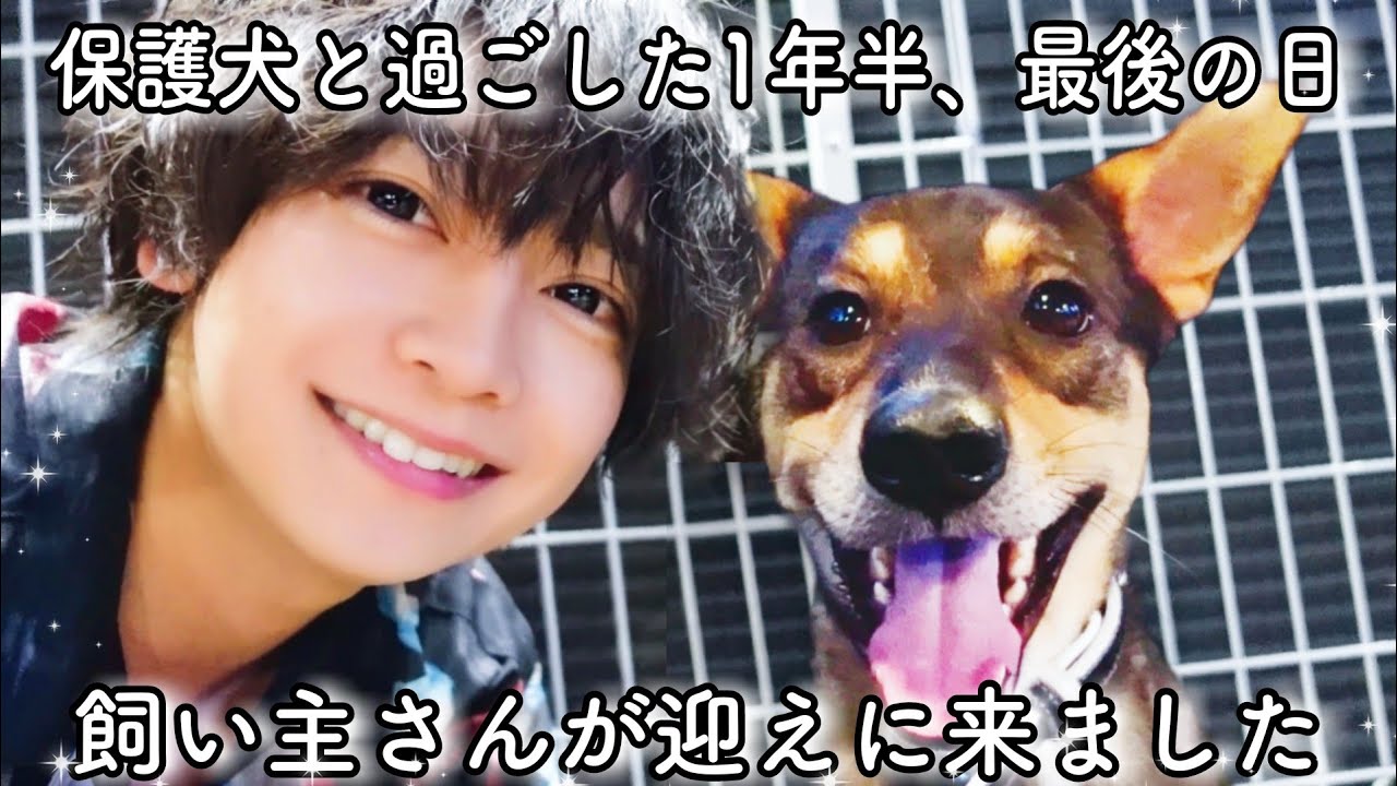 飼い主さんが迎えに来ました。保護犬と過ごした1年半、最後の日