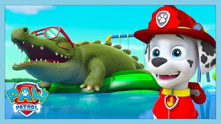 croc in the pool paw patrol wildbrain kids