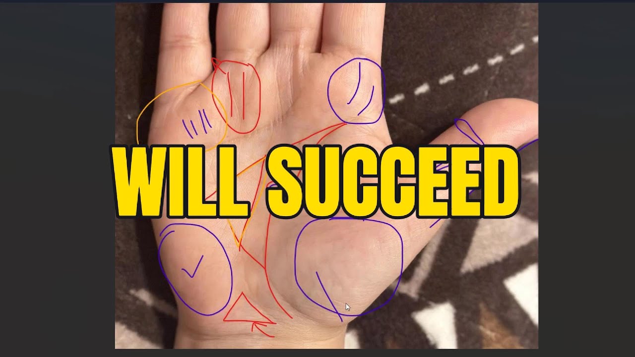 The palm lines of someone who will succeed – don’t give up too soon