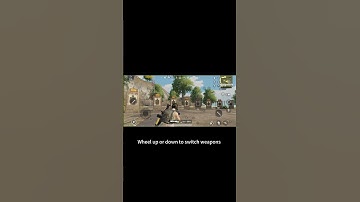 [feature] Panda Mouse Pro - Mouse wheel up or down to switch weapons