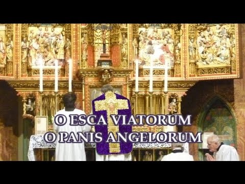 O Esca Viatorum (Isaac - Bach)