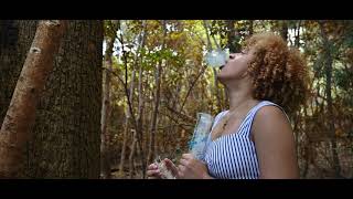 Zootly Glass - Safari