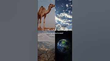 سورة الغاشية - الآية 17-21 #قرآن