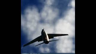 Aircraft Can Dogfight While Flying Backwards Now? #DCSWorld