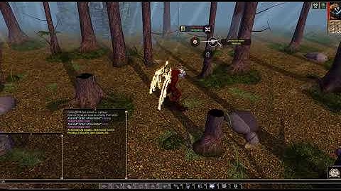 NWN Shapechange Update