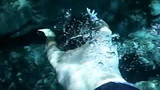 Alligator Attack at Crystal River,FL -GRAPHIC