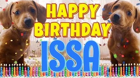Happy Birthday Issa! ( Funny Talking Dogs ) What Is Free On My Birthday
