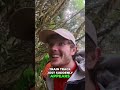 Lost Rail Line Found: Hiking Through a Mysterious Forgotten Forest! #shorts