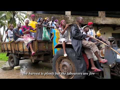 Video: Mavuno Mazuri