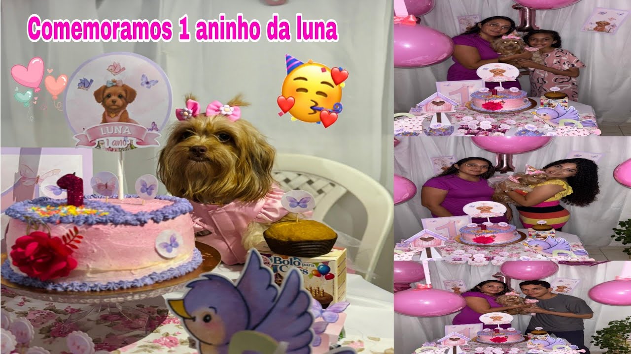 FIZ UMA FESTINHA PRA LUNA MINHA CACHORRINHA 🐕🥳🎉🎂🥰💓