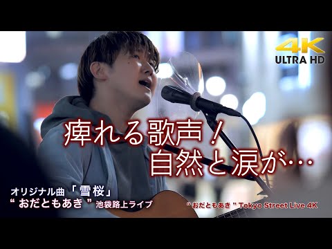 【 涙する歌声 】痺れる歌声！自然と涙が…　 オリジナル曲「雪桜」" おだともあき "2022.4.5 池袋路上ライブ 【4K映像】