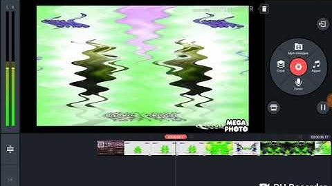 Larva Intro No I KILLED