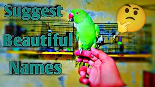 Suggest A Beautiful Parrot 🦜 Name 😁 | Green Ringneck parrot 🦜
