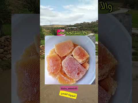 من اقوال حكيم اليمن علي ولد زايد عن البرد اكسبلور امثال أمثال عربية أمثال شعبية