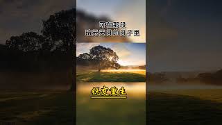 02647everyone Who Succeeds Through Their Own Efforts Has Gone Through A Difficult And Lonely Per