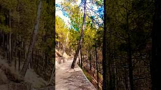 Lawrence College Murree 💚 #kraabros1122 #travel #shorts #nature #beautiful