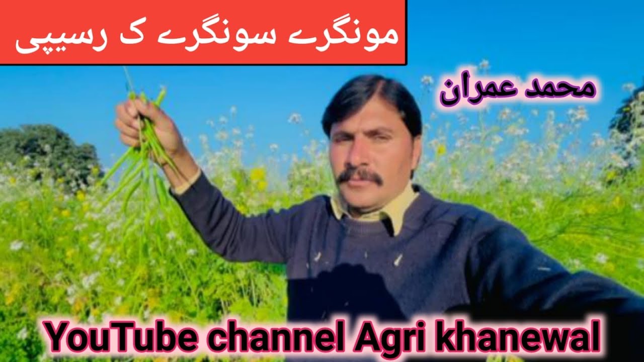 Mongry or songry ki recipe ||مونگرے اور سونگرے کی ریسپی ||@agrikhanewal ||