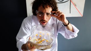 Thumbnail image for Descubrí un NUEVO tipo de DRAGONES ACUÁTICOS 😱🐉