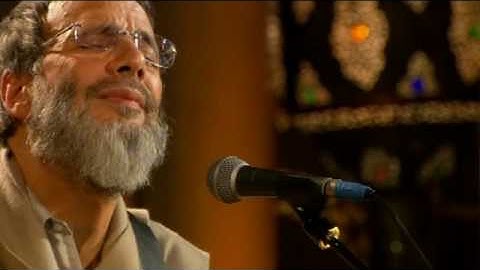 Yusuf - Wild World Zulu Version (Live Yusuf