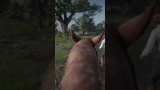 Killing NPCs in RDR2 #2 #gaming #game #rdr #rdr2 #rdr2game #reddeadredemption2 #gameplay #reddead2