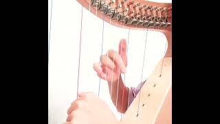 Walter 19strings harp