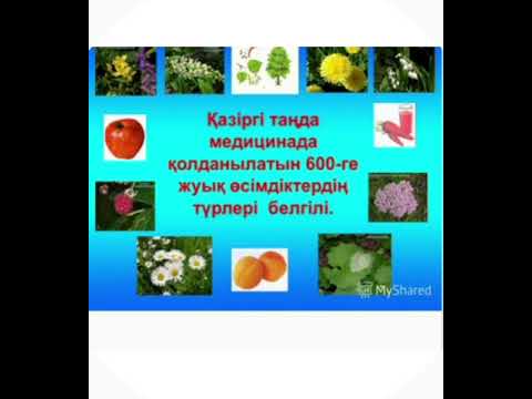 Бейне: Николай Соколов: өмірбаяны, шығармашылығы, мансабы, жеке өмірі