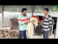 Banana fibre extraction...1 lakh investment good earnings
