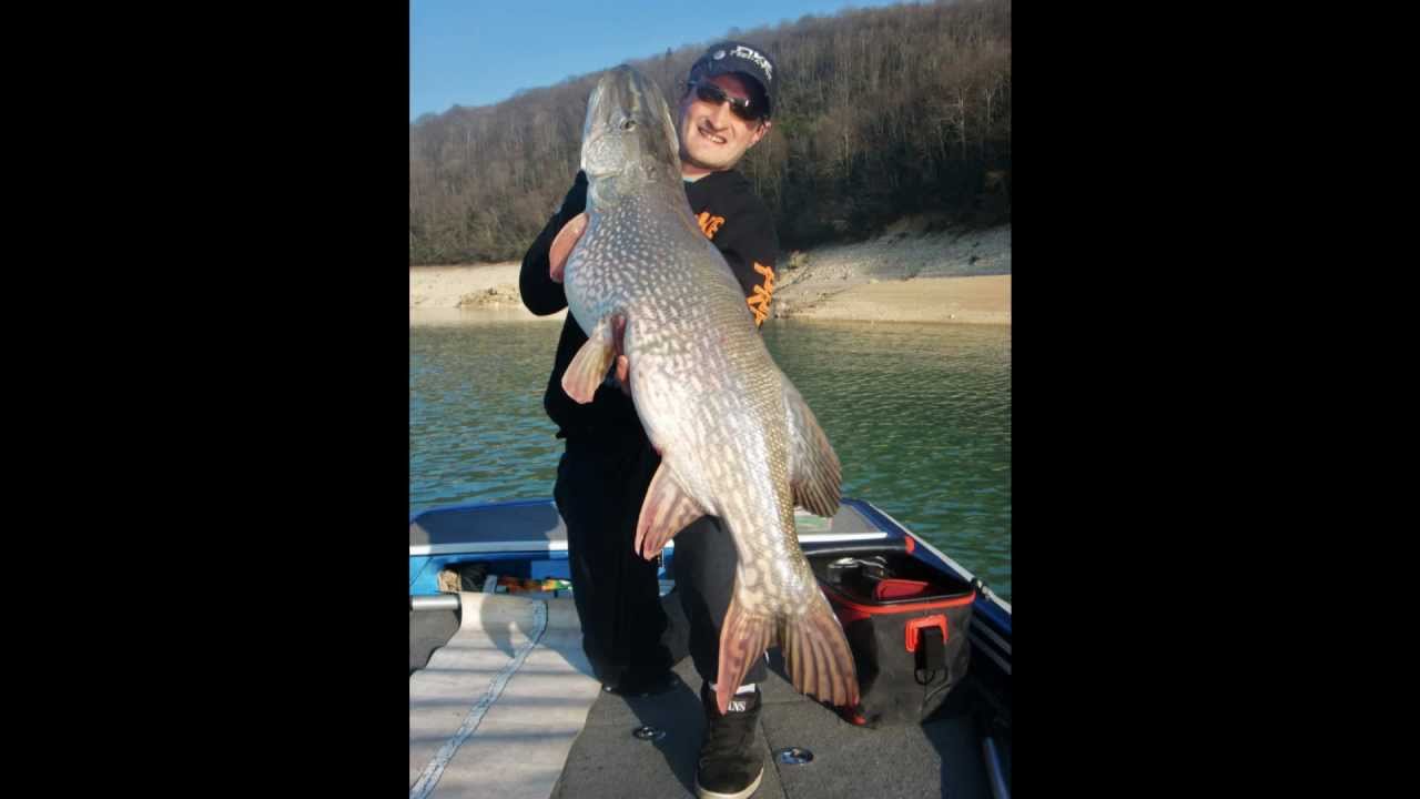 enorme BROCHET DE 1M22 YouTube