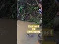 Fariz Bocil VS Udin Pepeng microfishing di sungai #shorts