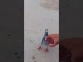 ١٥ أكتوبر ٢٠٢٤ 