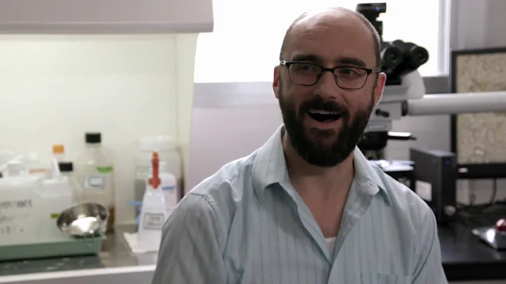 The Origins of Disgust — Meme