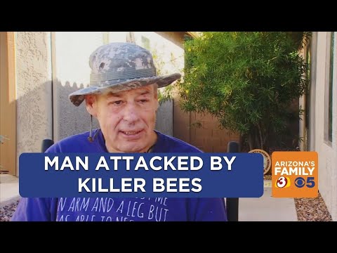 Florence man in wheelchair attacked by killer bees