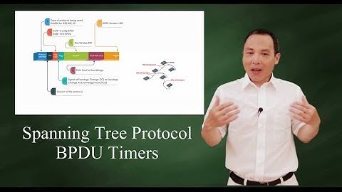 Spanning Tree Protocol - BPDU Timers