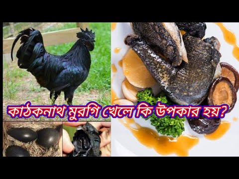 ভিডিও: 4টি সবচেয়ে সাধারণ খাদ্যজনিত অসুস্থতা কী কী?