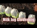 Erv's Complete Milk Jug Gardening Guide