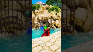 Dogs Teach Us Love In Its Purest Form Gta V