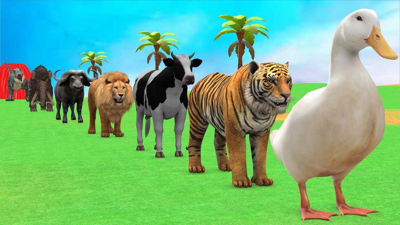 Long Slide Game with Cow Elephant Gorilla Hippopotamus Tiger 3d Animal Game Funny 3d Animals