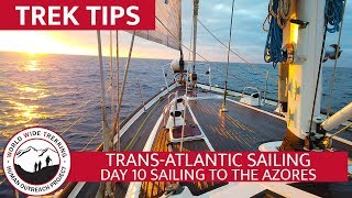 Dolphins at Sunset! Transatlantic Sailing - Day 10 Sailing to Azores | Trek Tips