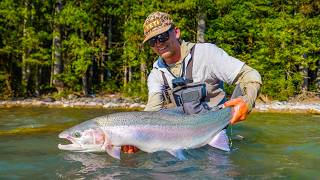A Summer Steelhead Story - FILM (My Dream Fish)