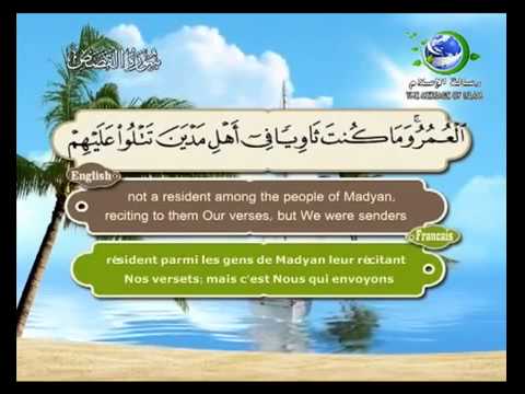 سورة القصص بصوت سعد الغامدي       