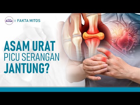 Pengaruh Asam Urat Pada Jantung