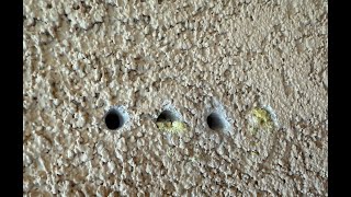 Finding studs Wealth