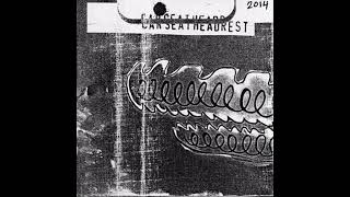 Famous We Can’t Afford (Your Depression Anymore) - Car Seat Headrest Wealth