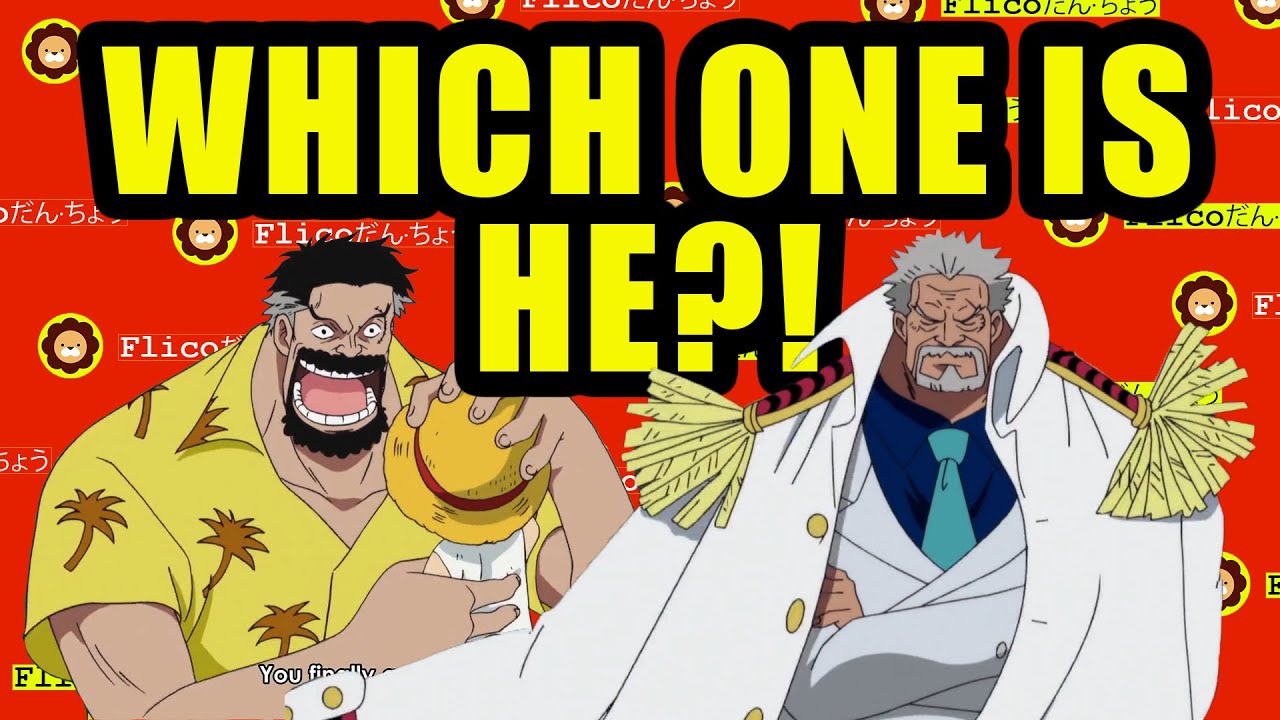 THE DUALITY OF MONKEY D GARP