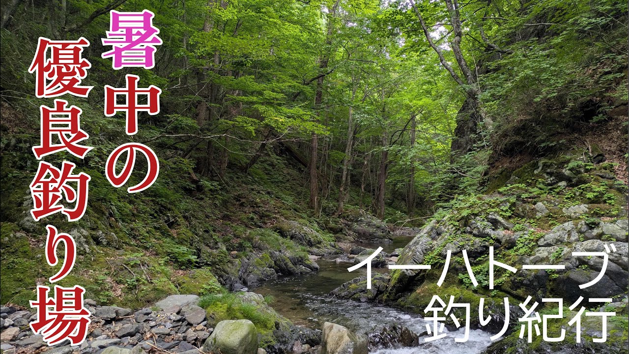 真夏の最良ポイント【フライフィッシング】渇水時期のヤマメ釣り【イーハトーブ】