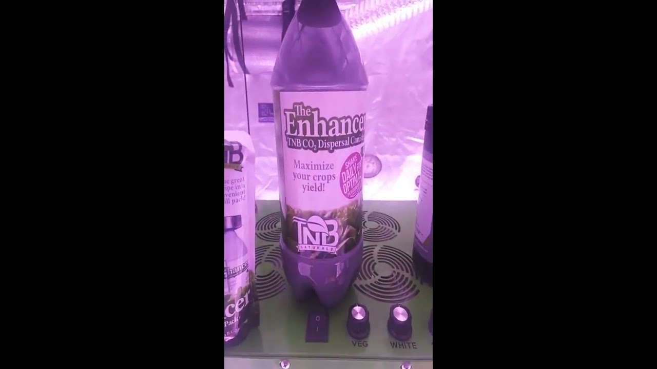 web mans Garden with an indoor garden update" The Enricher" Rockin the garden from TNB Naturals 