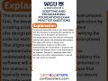 WGU Scripting and Programming Foundations Course OA Exam Questions #certboosters #wgu