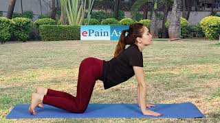 How to Do Marjariasana Yoga or Bidalasana Pose and It&#39;s Benefits