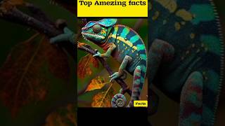 🌍 World’s Weirdest Animals – #3 Will Shock You! #shorts